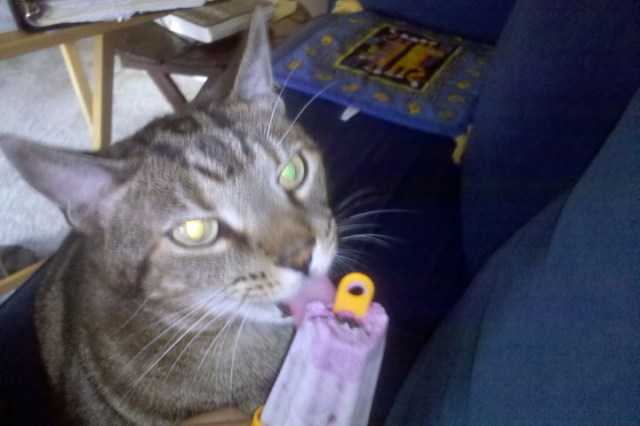 blueberries cream popsicle (2)