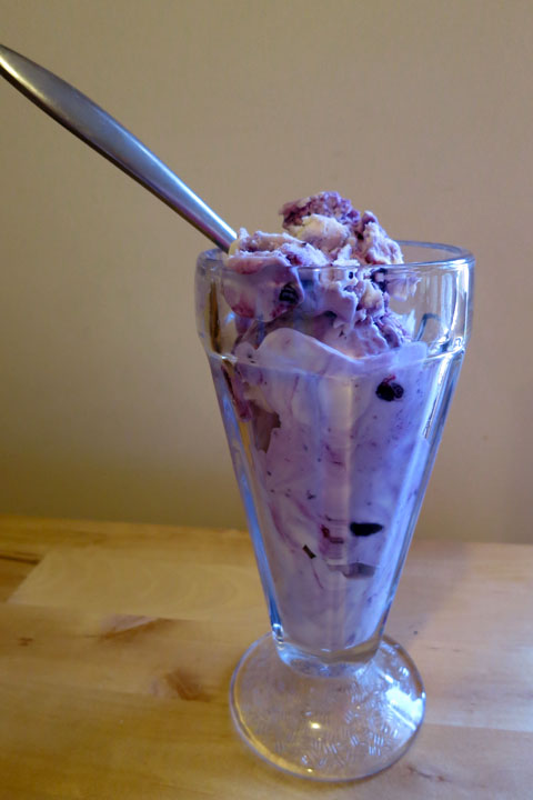 blueberry ice cream(3)
