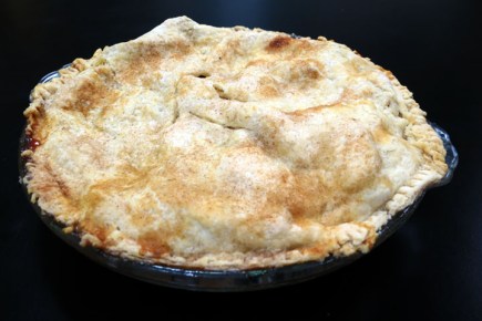 Apple Cranberry Pie 3