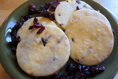 Cranberry Shortbread2