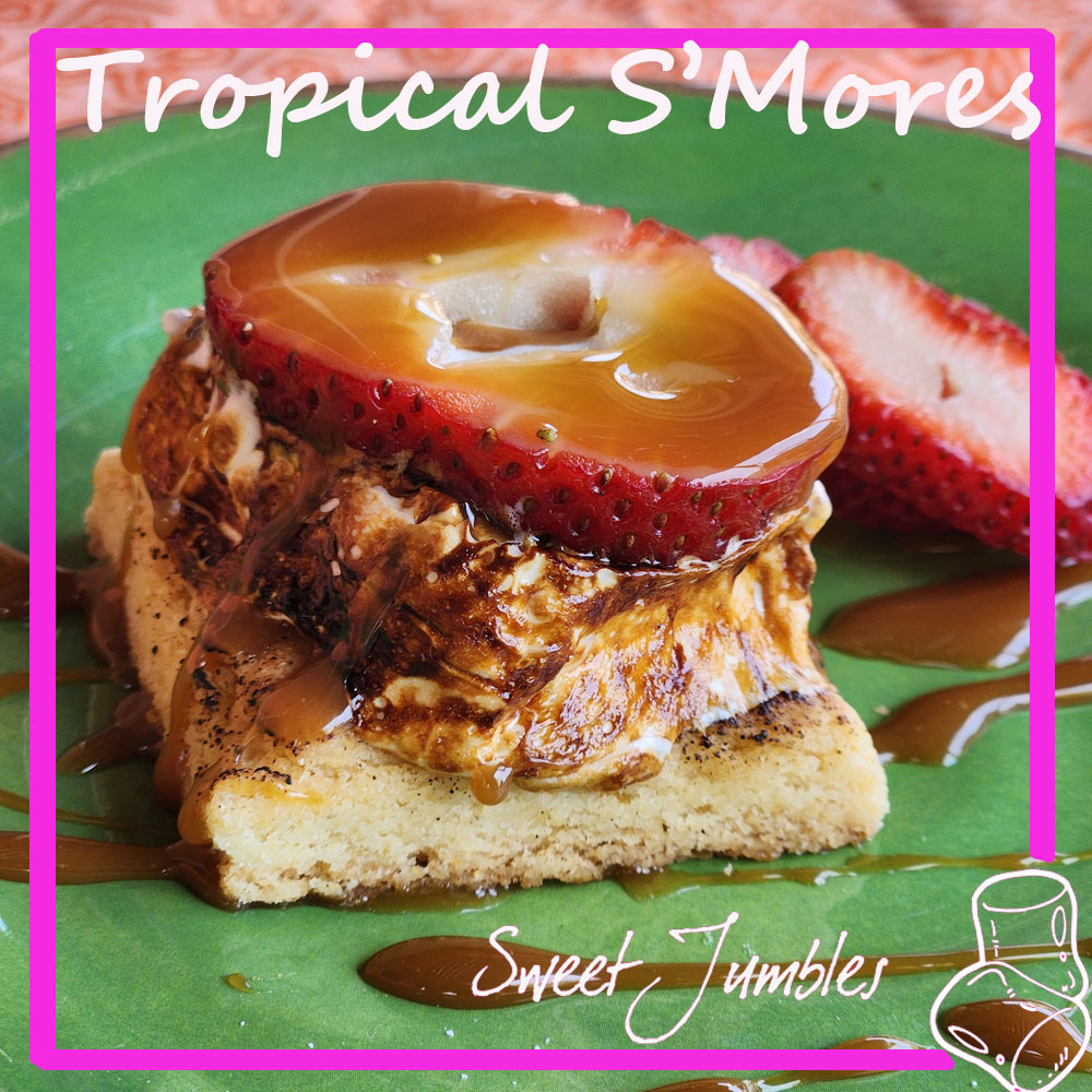 Tropical Smores Insta